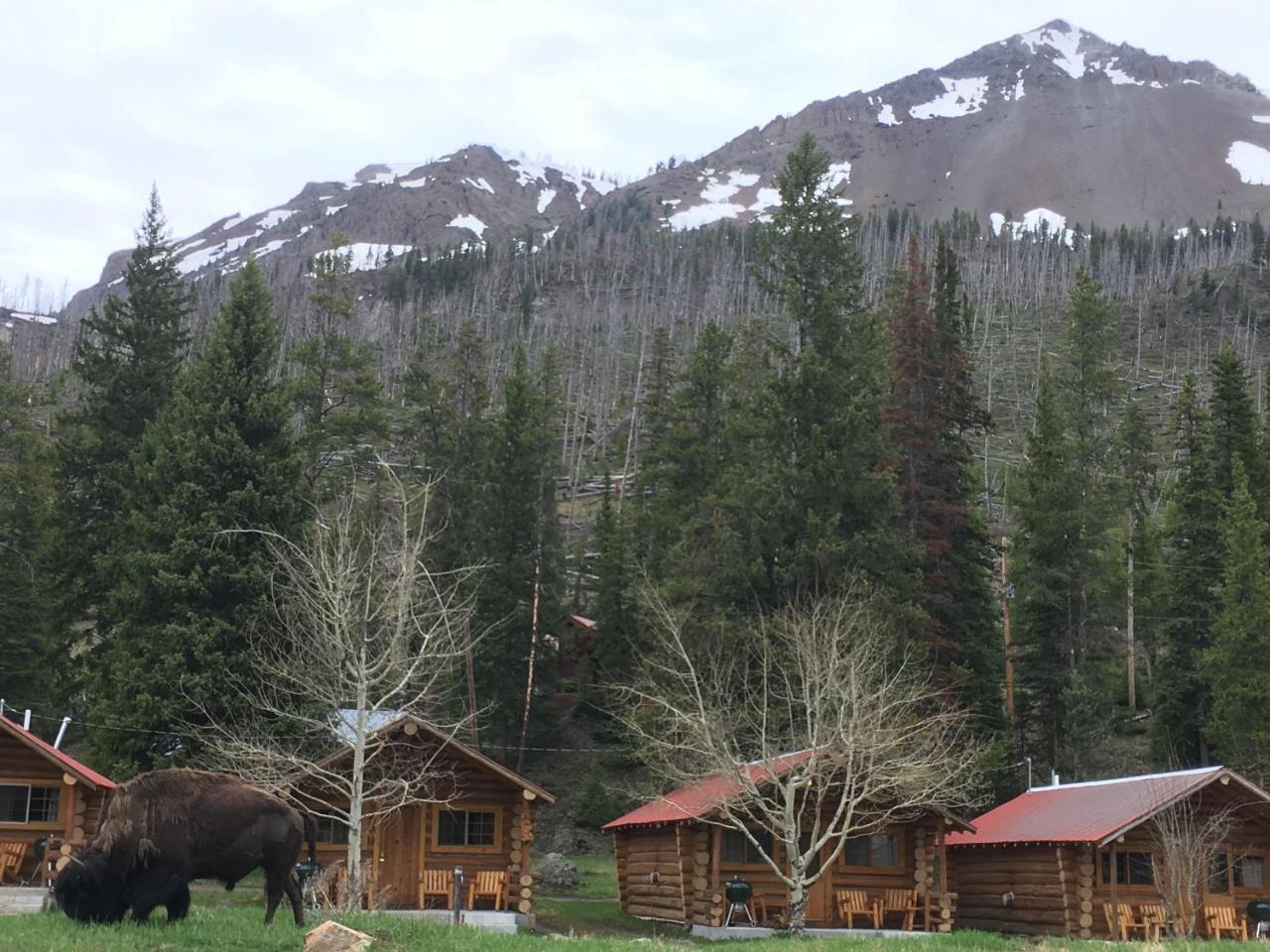 Silver Gate Lodging Cooke City Exteriér fotografie